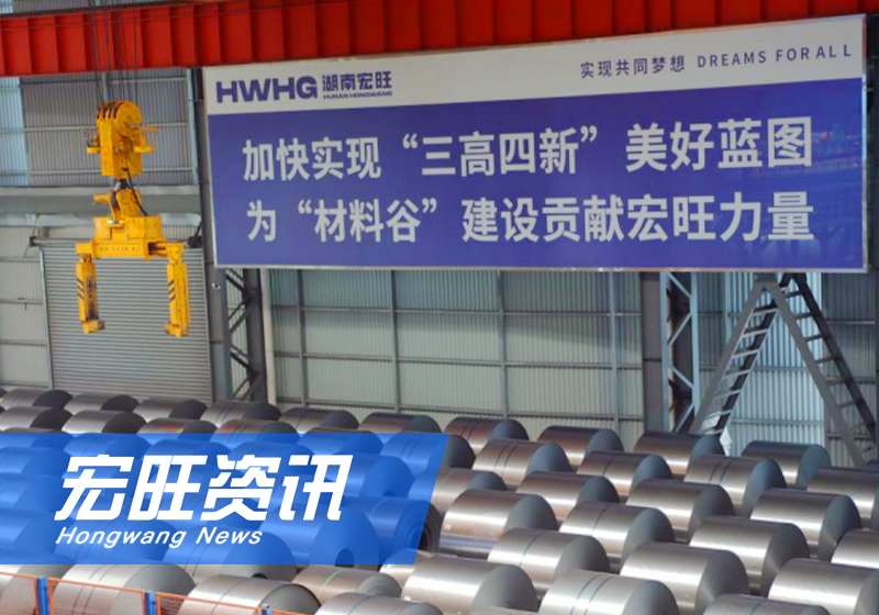 湖南省人大財經委、省發展改革委調研組蒞臨湖南宏旺調研